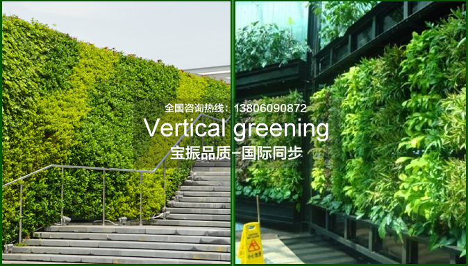 垂直綠化之墻體的立體綠化組合花盆種植