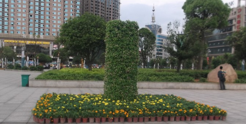 垂直綠化植物墻長勢優(yōu)良植物是基礎(chǔ)灌溉是重心