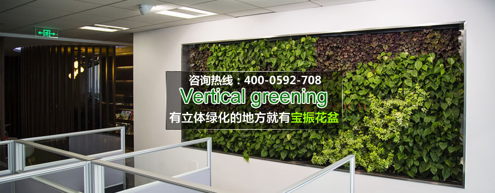 天青色等綠墻，而綠墻在等你
