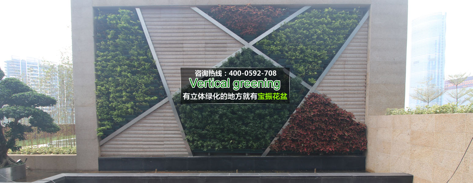 立體2.jpg 立體2.jpg
