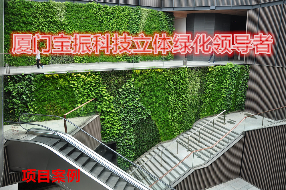 屋頂綠化的技術(shù)及實(shí)施-廈門(mén)寶振科技