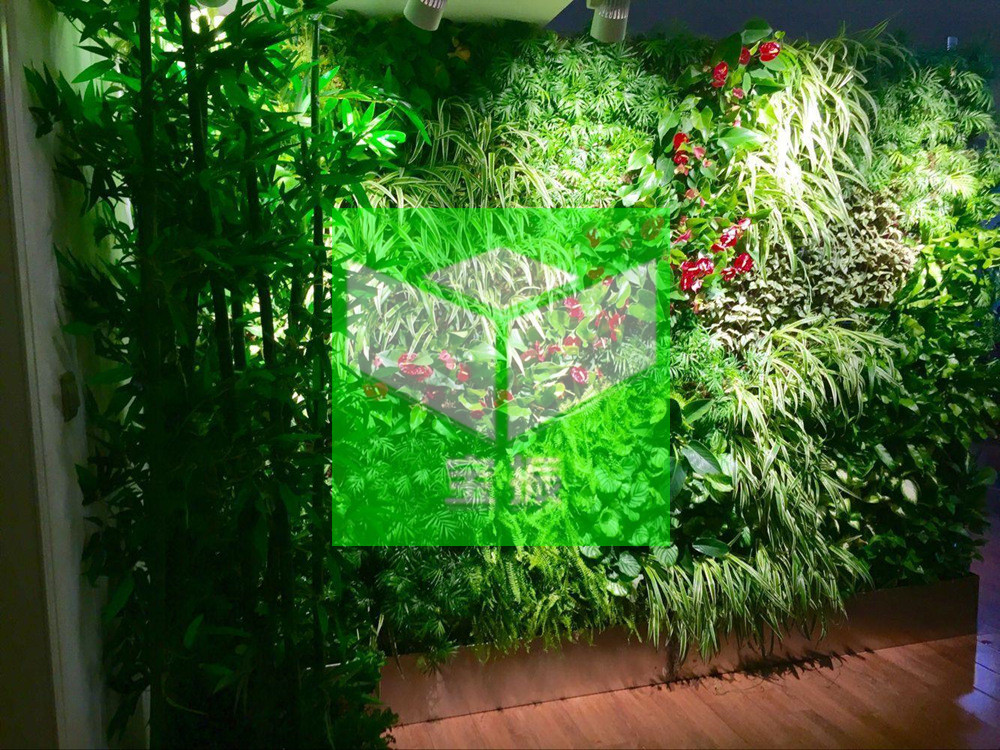 垂直綠化植物墻，的三大核心價(jià)值