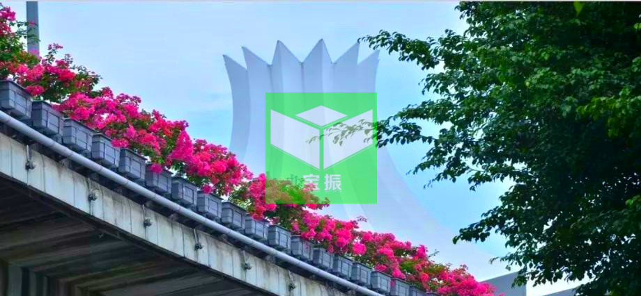 64033.jpg 64033.jpg